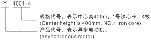 西安泰富西玛Y系列(H355-1000)高压YJTFKK4502-8三相异步电机型号说明